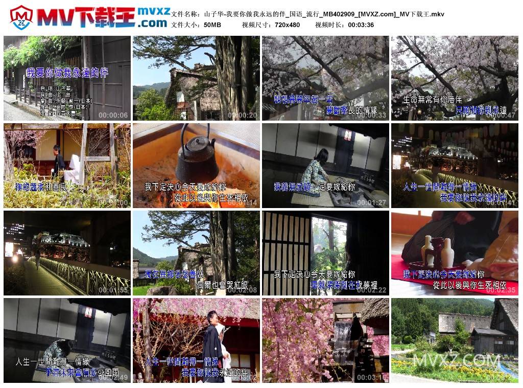 山子华-我要你做我永远的伴_国语_流行_MB402909